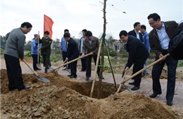 TP Thanh Hóa tổ chức Tết trồng cây và ngày hội xuống đồng